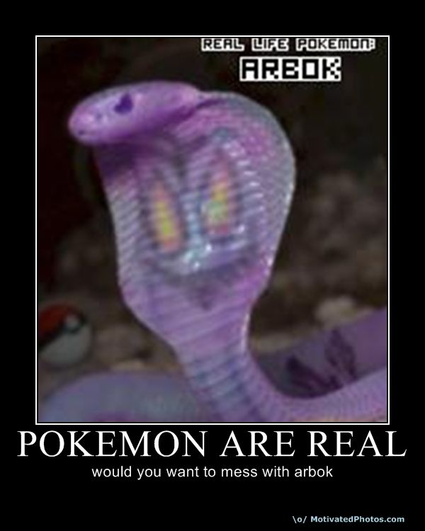 633610530703424461-pokemonarereal.jpg